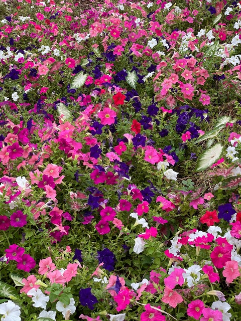 Header of acidhime