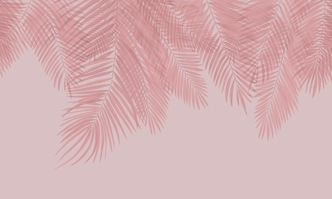 Header of agnemtf