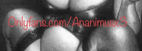 Header of ananimusx3