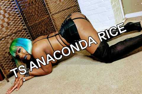 Header of anconda_rice23