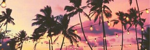Header of blondebunnyxoxo