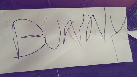 Header of bunnyqt