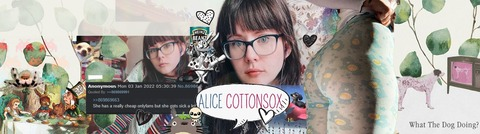 Header of cottonsox