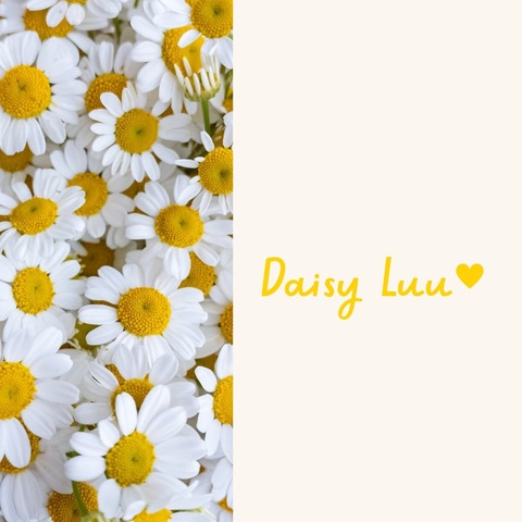 Header of daisy_luu