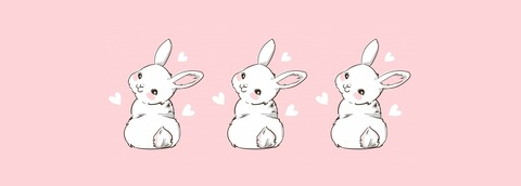 Header of dnibunny