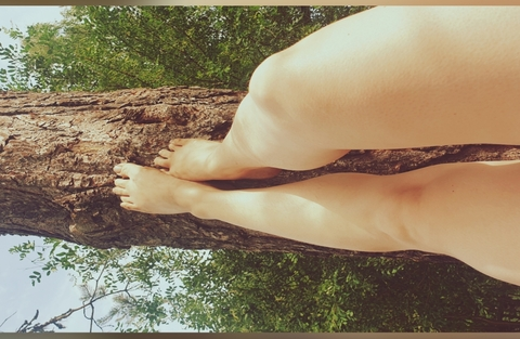 Header of forestgirl