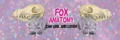 Header of fox_anatomy
