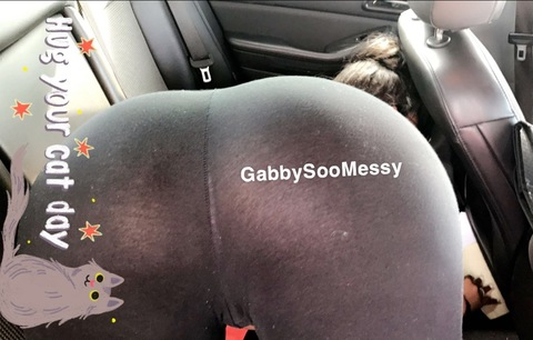 Header of gabbysoomessy