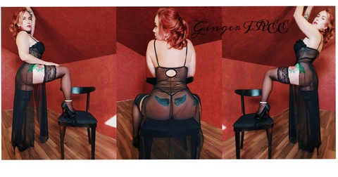 Header of ginger_fox