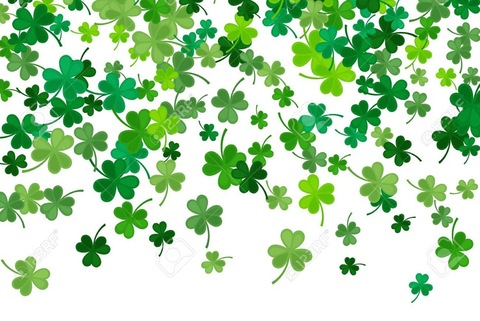 Header of irish_brat