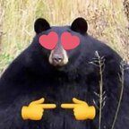 jawbreakerbear (JB, the Jawbreaker Bear) free OnlyFans Leaked Videos and Pictures 

 profile picture