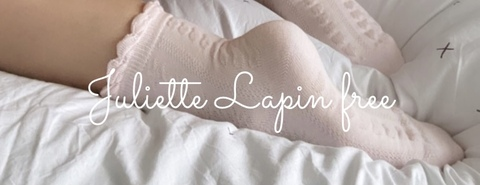 Header of juliettelapin.free