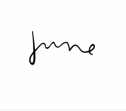 Header of juneberriess