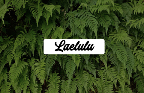 Header of laelulu