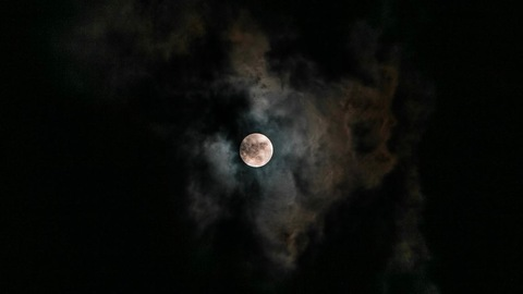 Header of lunaonmoon