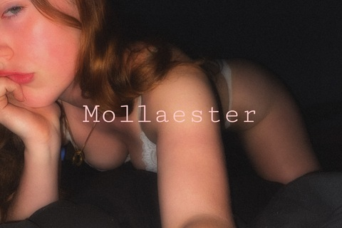 Header of mollaester