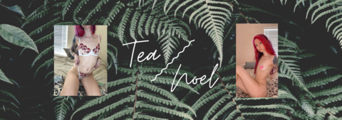 Header of naked.tea