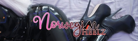 Header of norwegianheelz