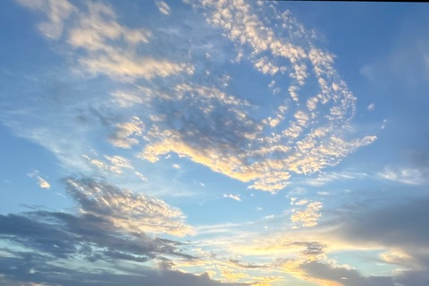 Header of ocreamarillito