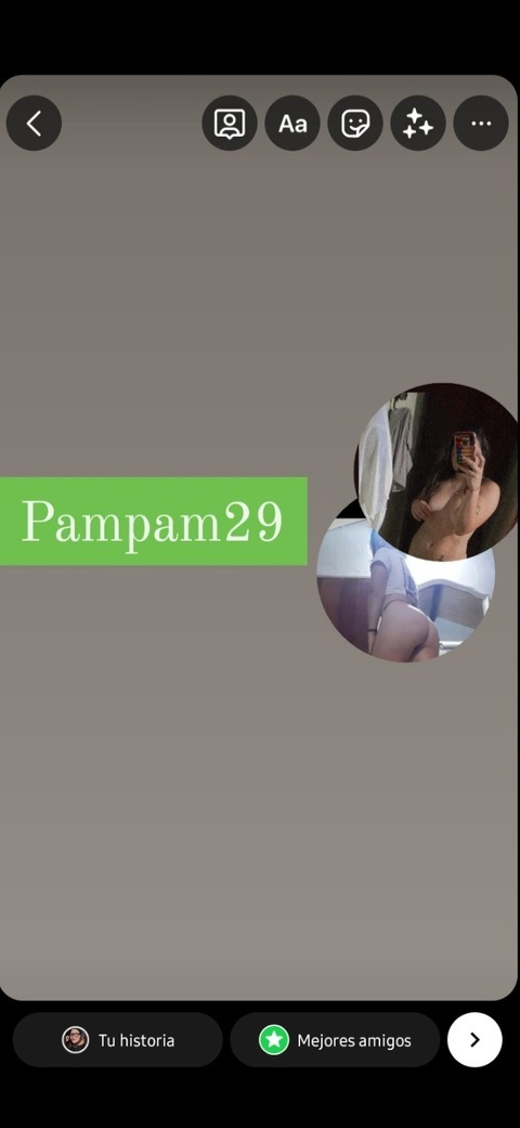 Header of pampam29