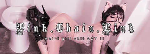 Header of pink.chain.link