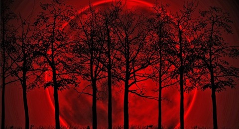 Header of scarletaphrodite666