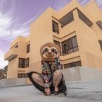 Sinful Sloth Slut (she/her) @sinfulslothslut Leak OnlyFans 

 profile picture
