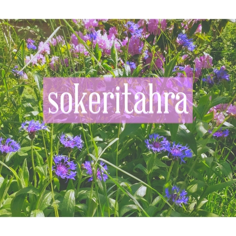 Header of sokeritahra