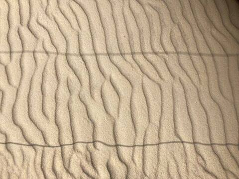 Header of tejfeet