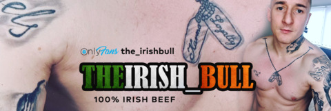 Header of the_irishbull