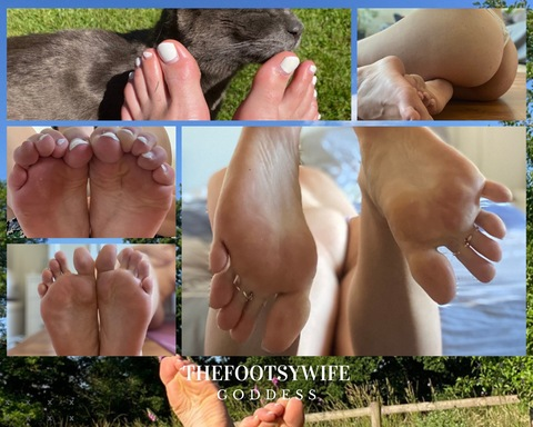 Header of thefootsywife