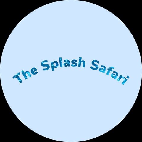 Header of thesplashsafari