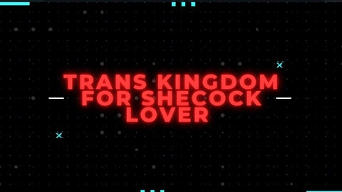 Header of trans_kingdom
