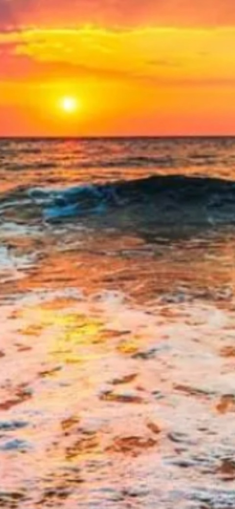 Header of u277944018chinita