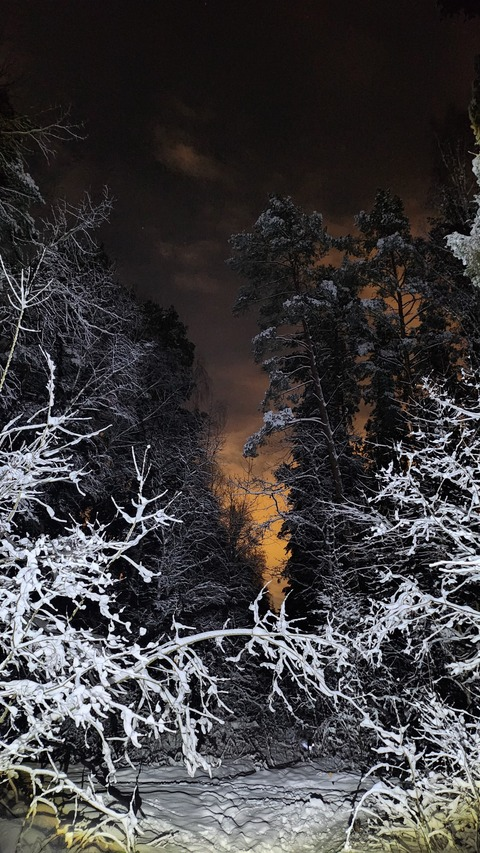 Header of urbunny99